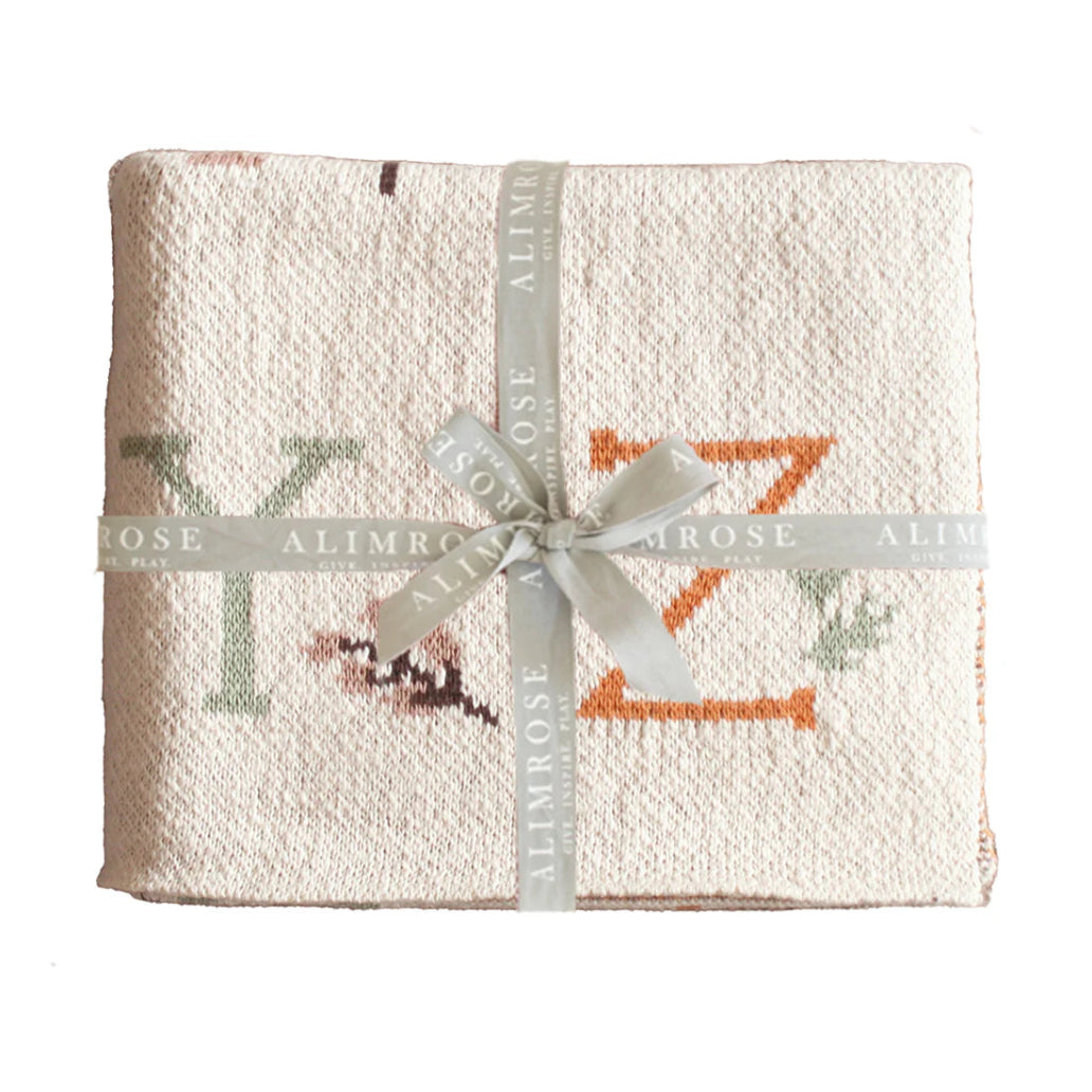 Alphabet Baby Blanket