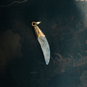 Cosmic Horn Pendant
