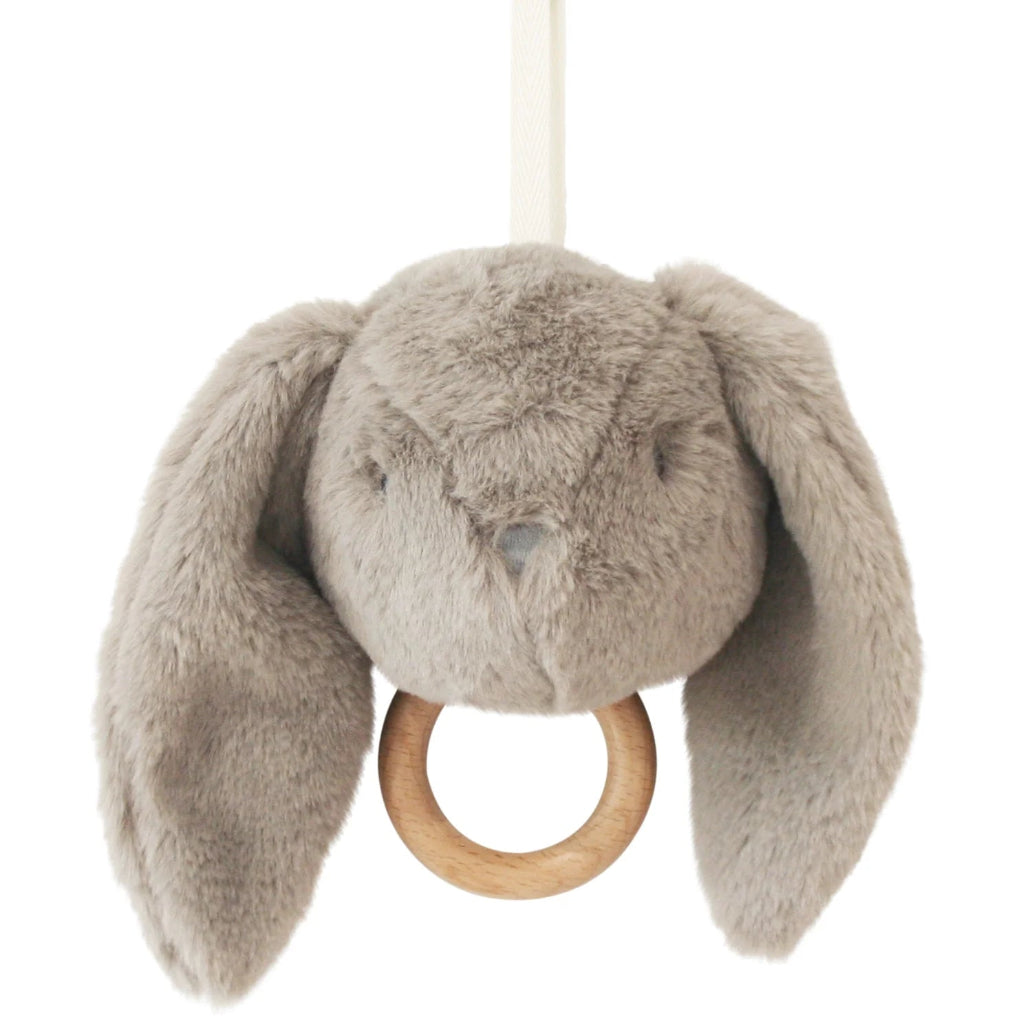 Darcey Musical Bunny