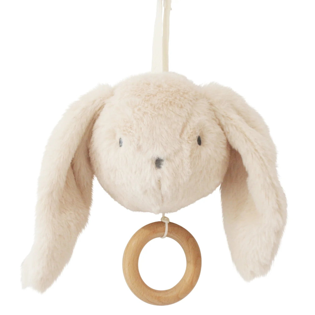 Darcey Musical Bunny