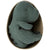 Gantosaurus in Egg