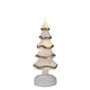 Illuminated Tree