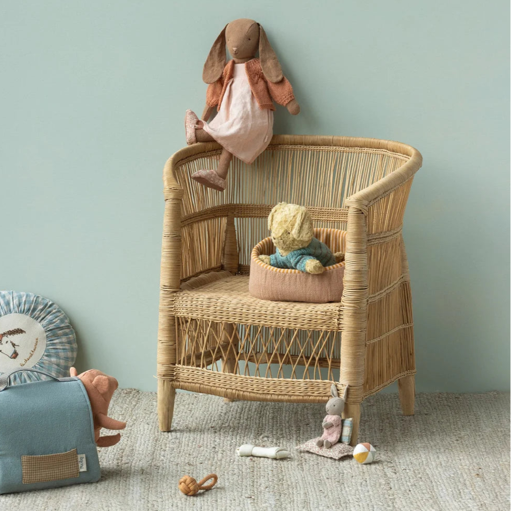 Pet Basket