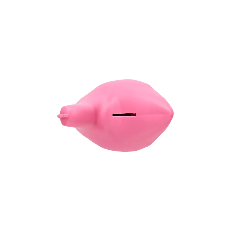 Pinkie Bank ceramic coin bank, boutique baby and toddler gift from Ella Collective Raleigh.