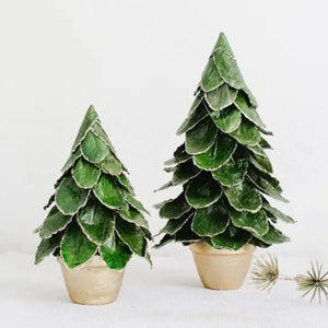 Potted Butterfly Leaf Cone Tree