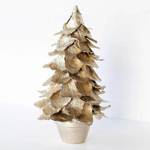 Potted Butterfly Leaf Cone Tree