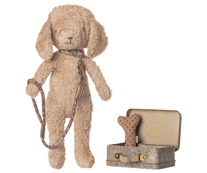 Puppy supply, Accesories