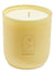 Joshua Tree Candle