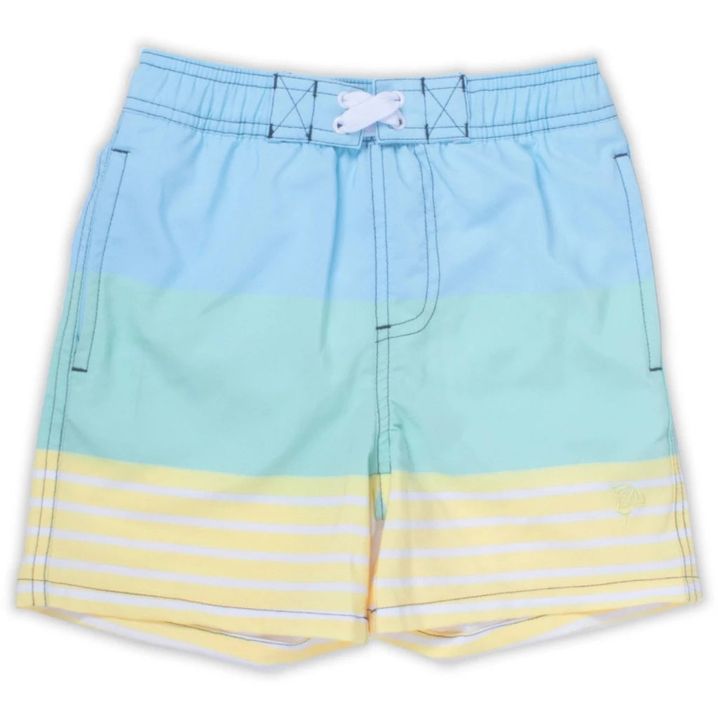 Stripe Colorblock Swim Trunks